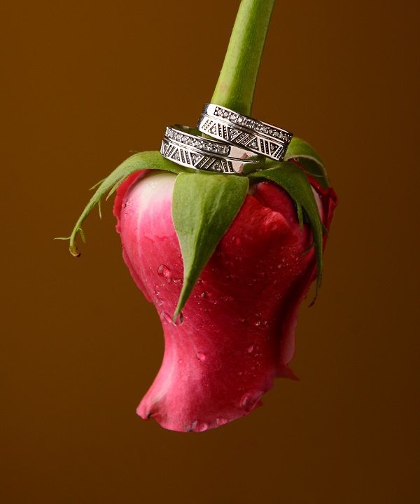 حلقه ست ازدوج روی گل رز نقره
